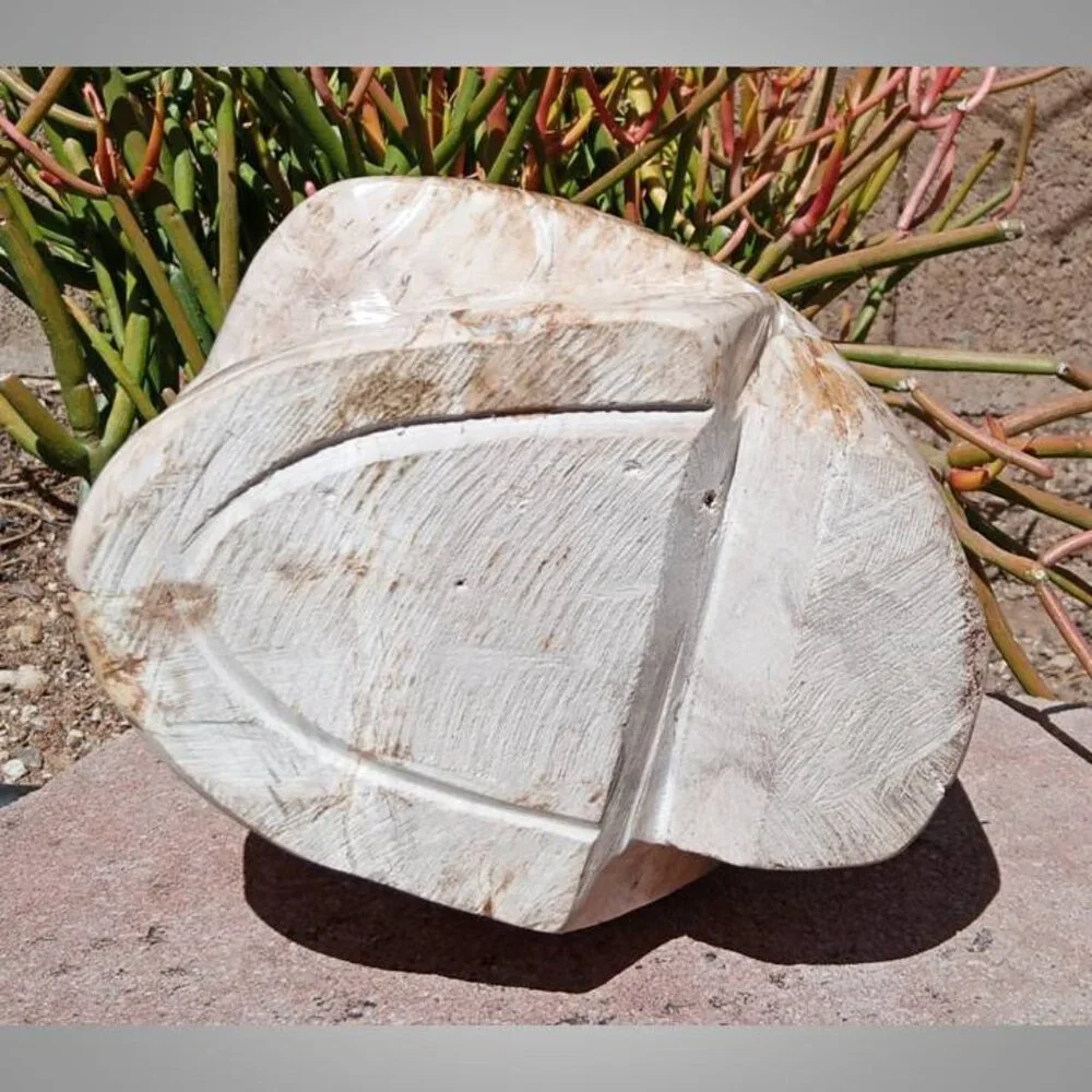 HUGE! Petrified Wood SKULL stone rock crystal